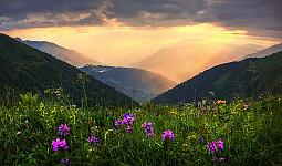 Цветущие горы Кавказа